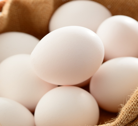 Eggshell membrane / 卵殻膜